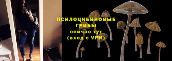 mix Алексин